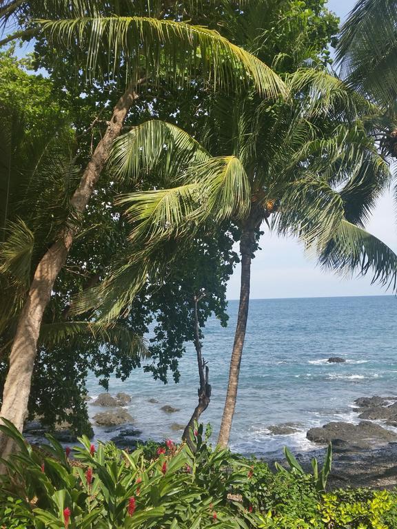 Hotel Cabinas Mar Y Cielo Montezuma Zewnętrze zdjęcie